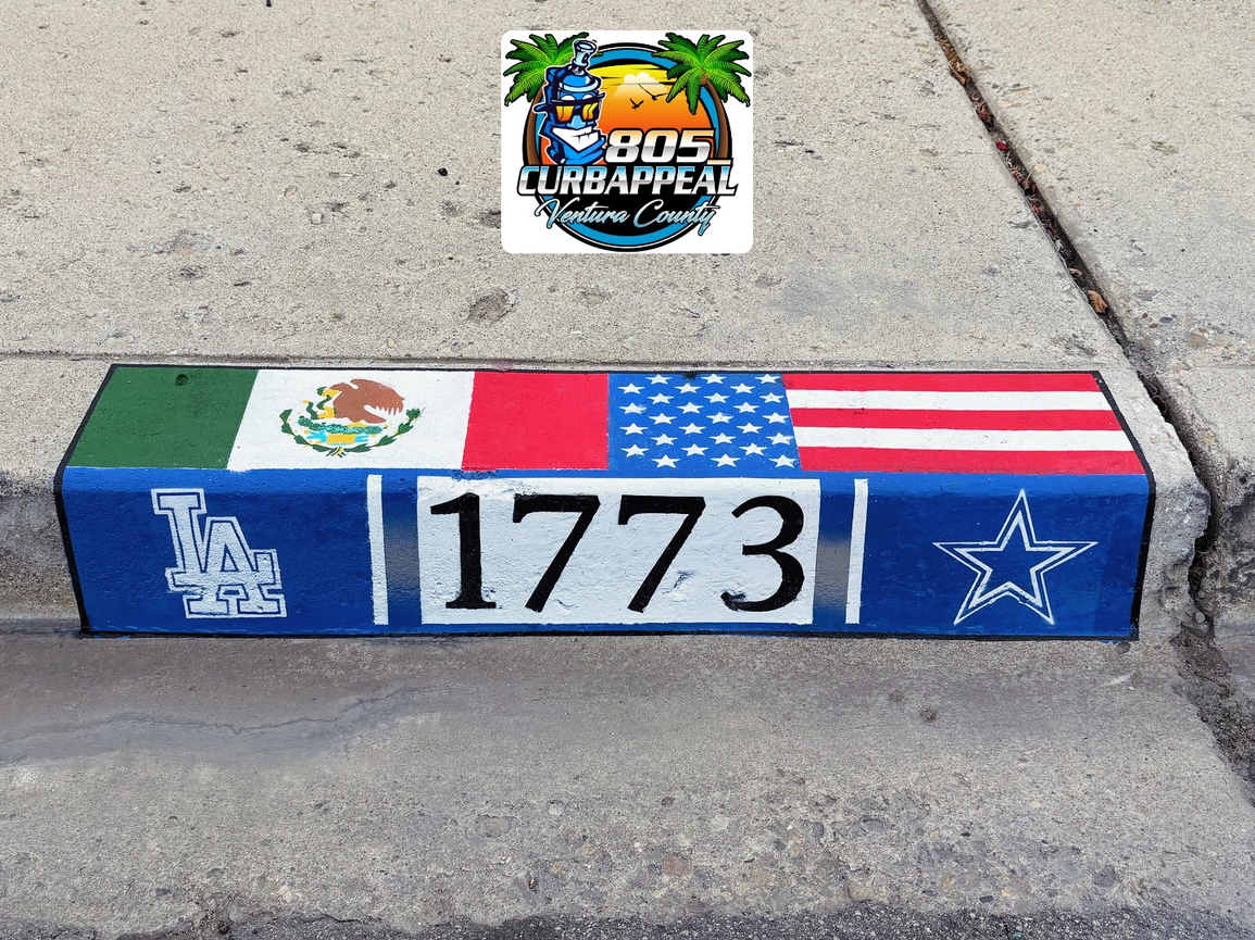 Custom Address Painting with Flags